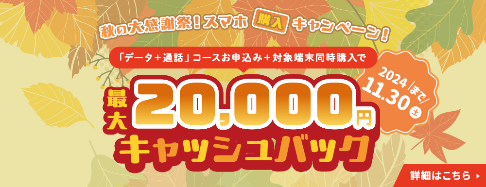 QTモバイルのおすすめキャンペーン 詳しくはクリック！