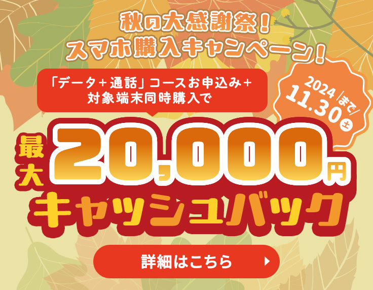 夏だ！祭りだ！キャッシュバックキャンペーン 公式サイト限定キャンペーンと合わせて 最大15,000円キャッシュバック！2024年8月31日まで