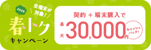 契約＋端末購入で最大30,000円キャッシュバック！詳しくはクリック！