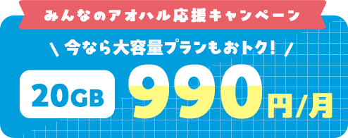 だから九州在住の方は電気(九電)＋BBIQ(インターネット)のセット割でスマホをおトクにご利用いただけます！